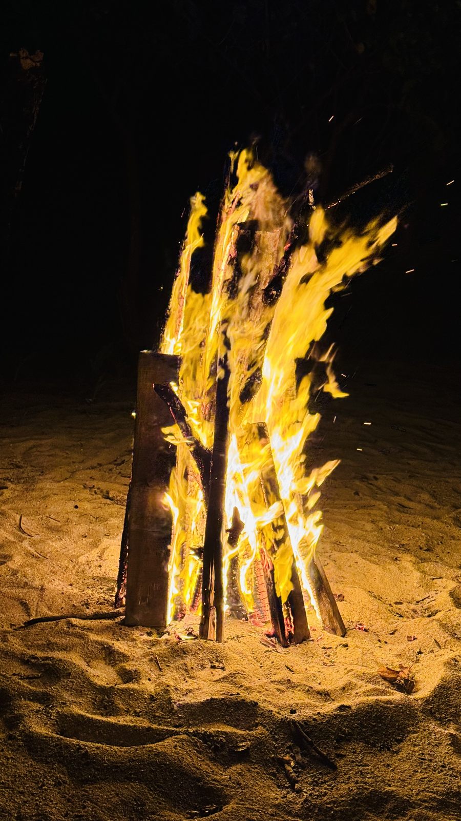 A campfire burning on a sandy beach at night